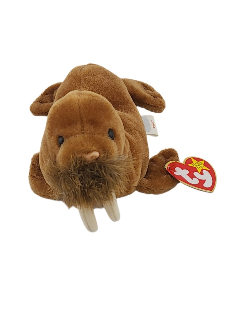 Ty Beanie Baby PAUL The WALRUS - NWT
